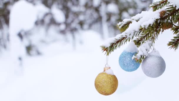 Bosque Invierno Tres Brillantes Bolas Navidad Sacudidas Por Viento Rama — Vídeo de stock
