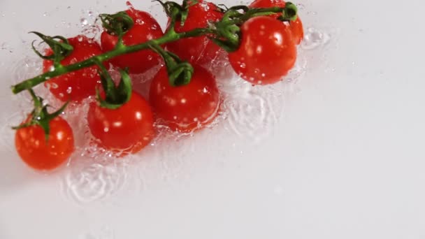 Mesa Blanca Con Una Fina Capa Agua Rama Con Tomate — Vídeos de Stock