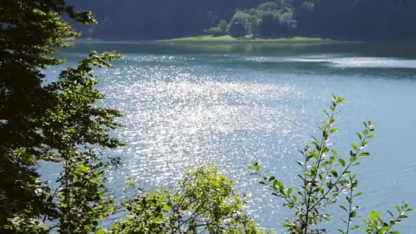 Лесное Озеро Между Горами Солнечный Летний День Вода Светит Солнце — стоковое видео