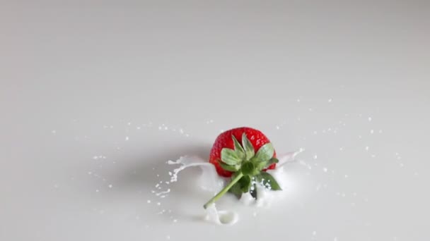 Calm Milk Surface One Strawberry Leaves Stem Falls Creates Lot — Stock Video