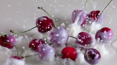 Sakin süt yüzeyi. Olgun, sulu birkaç kiraz düşer ve bir sürü su sıçramasına neden olur. Yavaş çekim