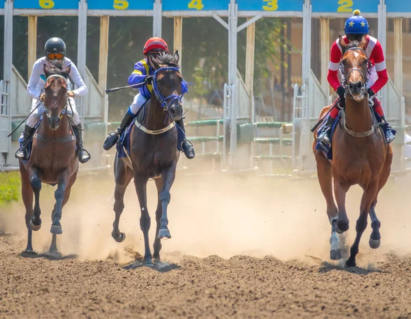 Starting Gate Stock Photos Royalty Free Starting Gate Images Depositphotos