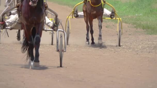 Sunny Summer Day Several Horse Drawn Carriages Compare Cloud Dust — Stock Video