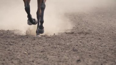 Toprağı kurut. At koşar ve bir sürü toz yaratır. Bacaklara yakın çekim. Yavaş çekim