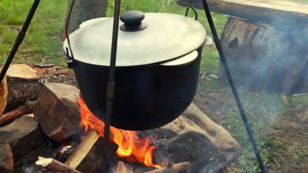 Kamp ateşinde yemek pişirmek — Stok video