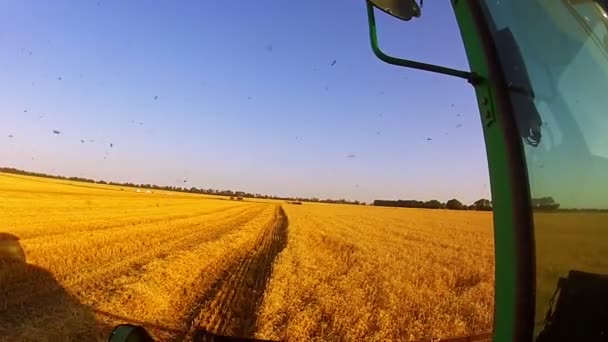 Video from a Moving Harvester — Stock Video