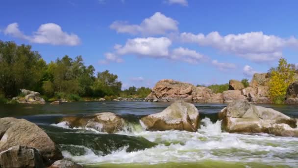 Corredeiras florestais fluviais — Vídeo de Stock