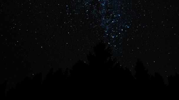 Via Láctea acima da floresta — Vídeo de Stock