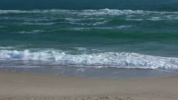 Playa de arena y surf — Vídeos de Stock