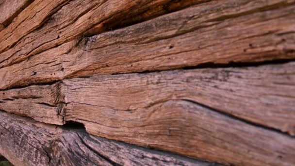 Το παλιό ξύλο — Αρχείο Βίντεο