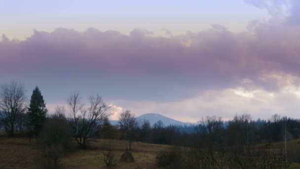 Hiver sans neige dans les montagnes boisées — Video