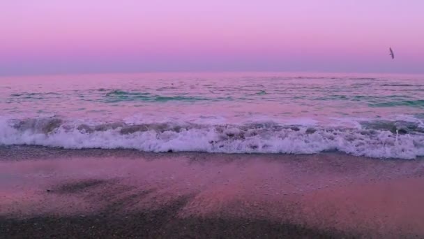 Surf after Sunset and Seagulls. Slow Motion — Stock Video