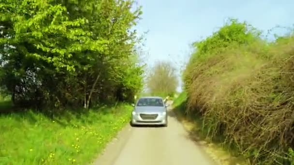 Touristes dans la voiture — Video