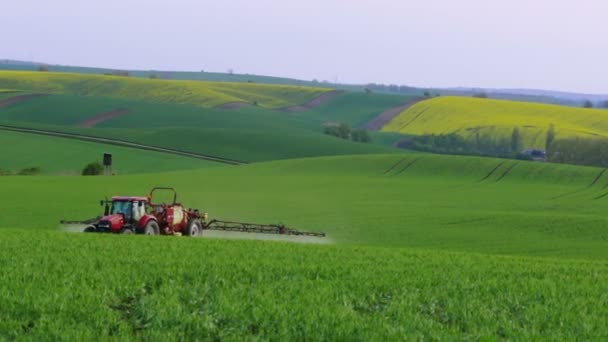 Traktor auf hügeligem Feld — Stockvideo