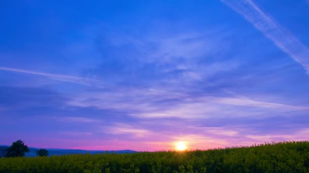 Zonsopgang boven het veld koolzaad. Time-lapse — Stockvideo