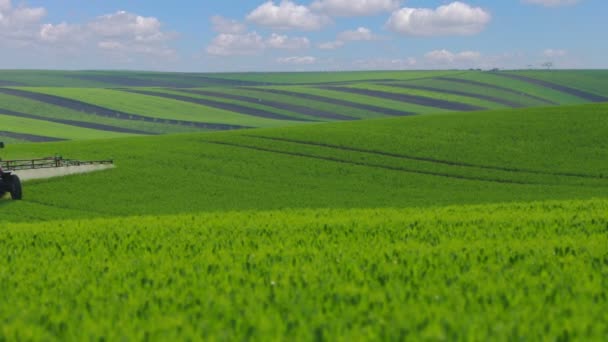 Trattore agricolo sui vasti campi della Moravia meridionale — Video Stock