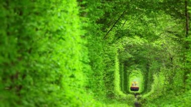 Yaprak döken ağaçların üzerinden tünelde teknik tren