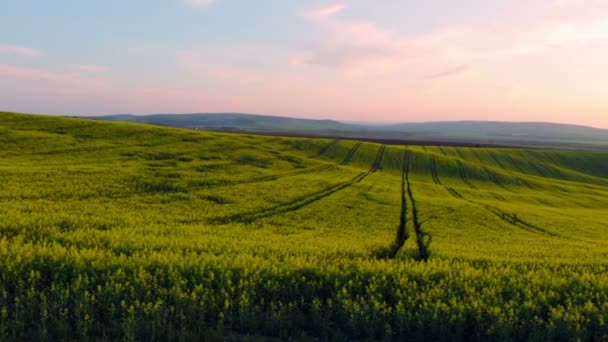 Coucher de soleil sur les champs montagneux — Video