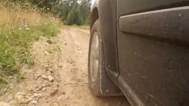 Vehículo todoterreno de conducción rápida en un camino de tierra forestal — Vídeo de stock