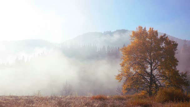 Туман осенним утром в горах — стоковое видео