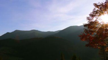 Parlak güneş ve altın yapraklar