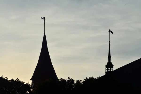 Silhouette der Kathedrale von Königsberg. Kaliningrad, Russland — Stockfoto