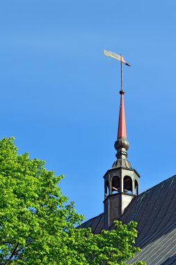 Weathervane Koenigsberg Katedrali. Kaliningrad, Rusya Federasyonu