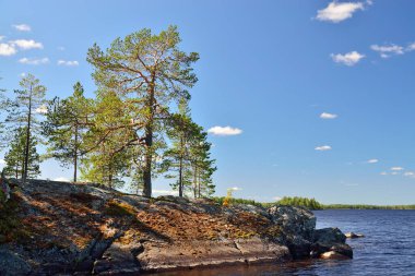 Karelya manzarası - kayalar, çam ağaçları, gökyüzü ve su. Pongoma Gölü, Kuzey Karelia, Rusya