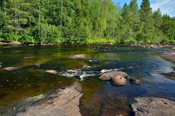 Vista Limiar Ponte Rio Pongoma Carélia Norte Rússia — Fotografia de Stock