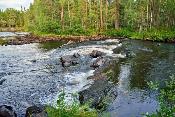 Vista Limiar Stol Rio Pongoma Carélia Norte Rússia — Fotografia de Stock
