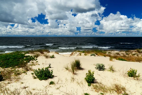 Beautiful baltic dunes — Stock Photo, Image