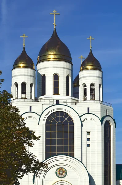 Kathedraal van Christus de Verlosser. Kaliningrad, Rusland — Stockfoto