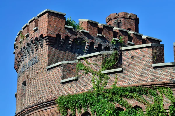 Vrangel kule - fort koenigsberg. Kaliningrad, Rusya Federasyonu — Stok fotoğraf