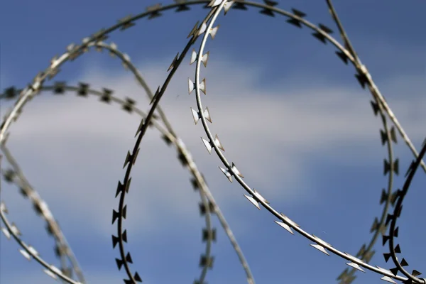 Barbed wire close up Royalty Free Stock Photos