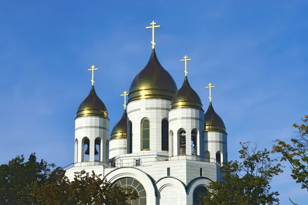 Katedralen Kristus Frälsaren. Kaliningrad, Ryssland — Stockfoto