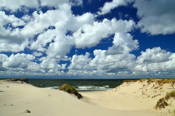 Beautiful baltic dunes. Kaliningrad region, Russia — Stock Photo, Image