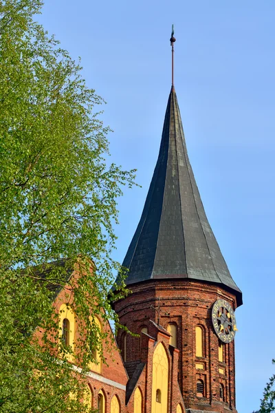 Wieża katedry Koenigsberg, symbol Kaliningrad, Rosja — Zdjęcie stockowe