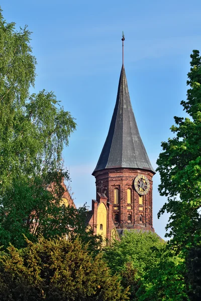 Koenigsberg Katedrali - Kaliningrad, Rusya'nın sembolü — Stok fotoğraf