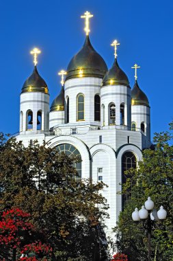 Katedral Mesih'in Savior güneşte parlıyor. Kaliningrad, R