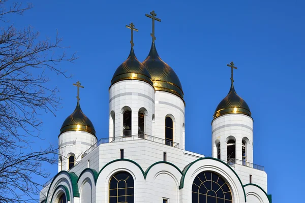 Koepels van de kathedraal van Christus de Verlosser. Kaliningrad, Rusland — Stockfoto