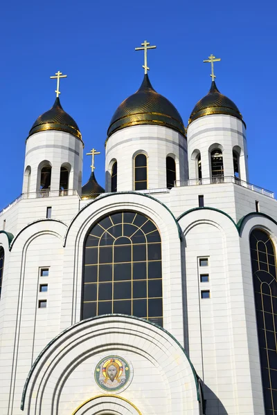 Katedrála Krista Spasitele. Kaliningrad, Rusko — Stock fotografie