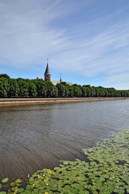 kneiphof Adası Koenigsberg Katedrali. Kaliningrad, Rusya Federasyonu