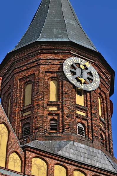 Torre Koenigsberg Catedral. Símbolo de Kaliningrado, Rusia — Foto de Stock