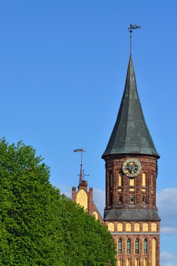 Koenigsberg Katedrali, Kaliningrad sembolüdür. Rusya