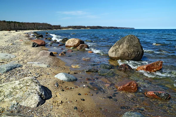 Baltic coast — Stock Photo, Image