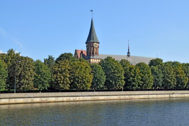 Königsberg Katedrali. Kaliningrad sembolü. Rusya
