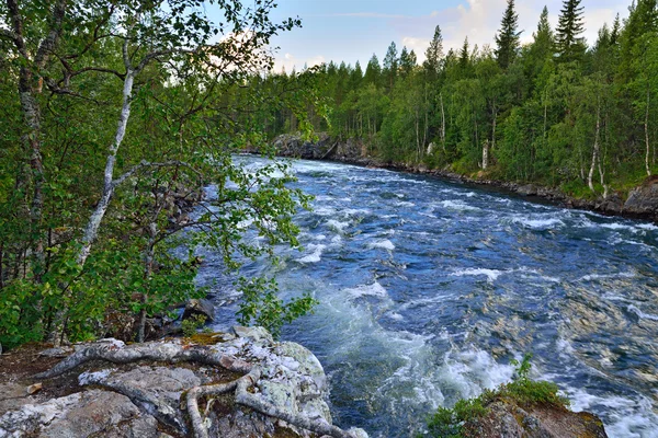 Rio Umba. Península de Kola, Rússia — Fotografia de Stock