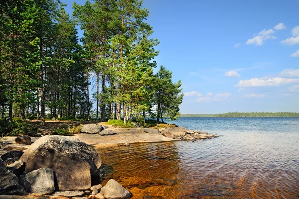 Lake Engozero, Kuzey Karelya, Rusya Federasyonu