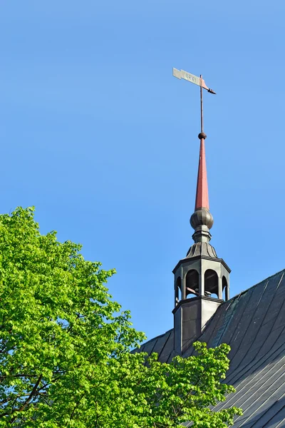 Weathervan eof Königsberg Cathedral. Kaliningrad, Ryssland — Stockfoto