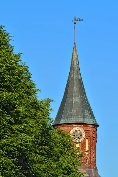 Wieży królewieckiej katedry. Symbolem Kaliningrad, Rosja — Zdjęcie stockowe